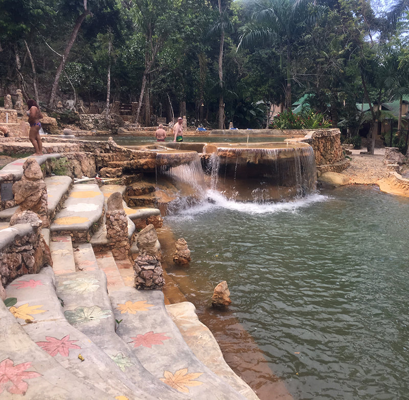 natural swimming pools with water fall 
