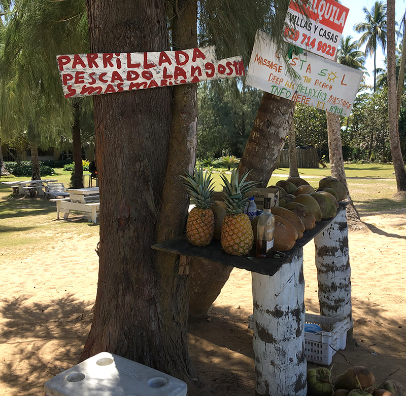pineapples and coconuts on a makeshift table with a hand painted sign advertising shrimp and lobster in Spanish